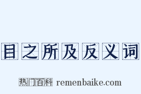 目之所及反义词是什么意思的图片